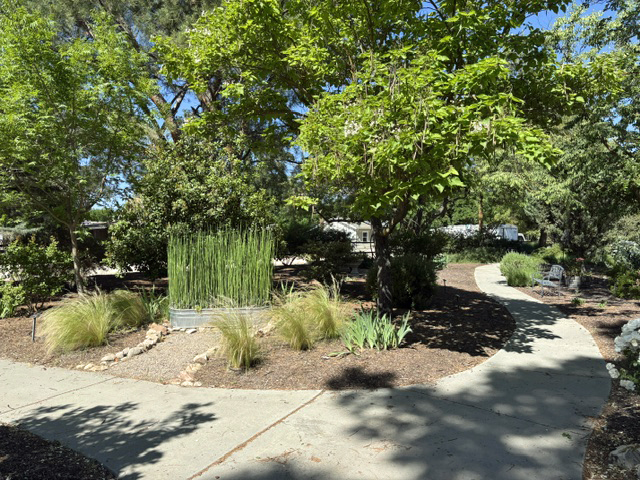 Sidewalk junction