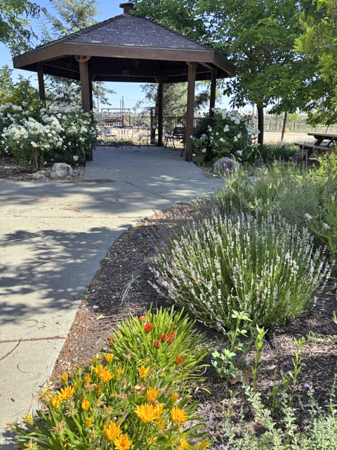 Wooden gazebo entrance